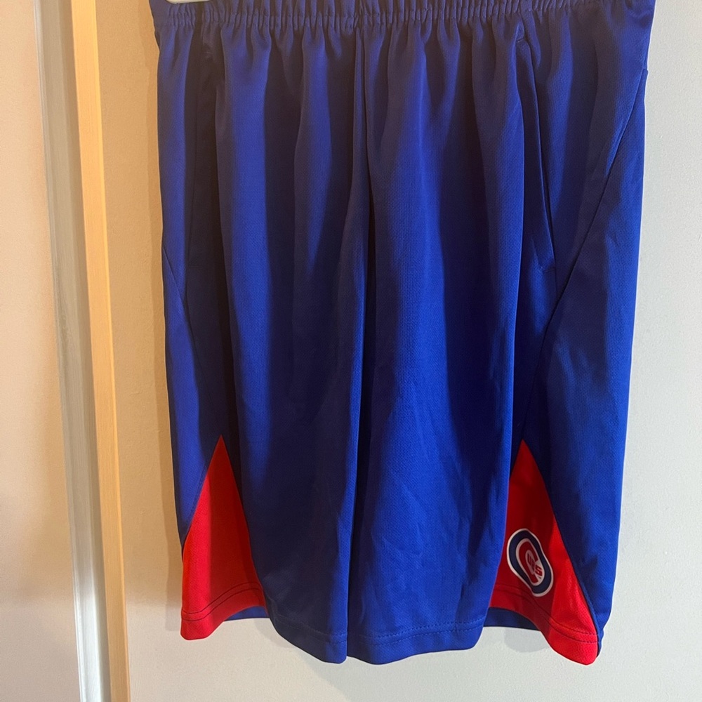 Kids Blue and Red Athletic Shorts
